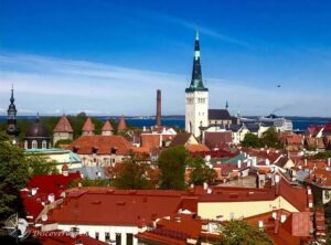 How Shared Interests Can Influence Companion Connections in the Baltics