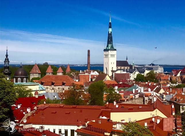 How Shared Interests Can Influence Companion Connections in the Baltics